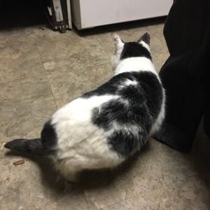 Meet your Posher, Daniel